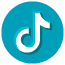 TikTok Icon