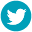 Twitter Icon