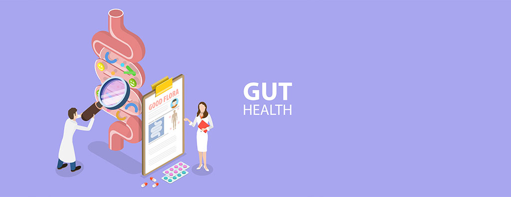 gut health feature