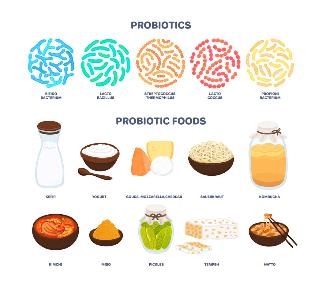 Why Gut Health Is Important Why Gut Health Is Important