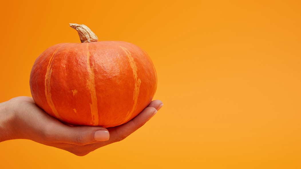 pumpkin in hand