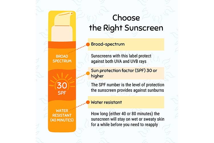 Your Sunscreen Guide