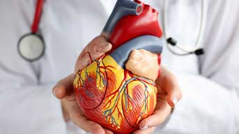 Cardiovascular Screenings