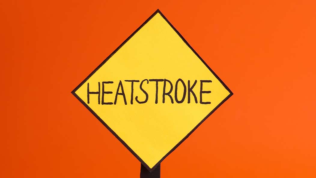 Heat Stoke is a Serious Sometimes Fatal Medical Issue