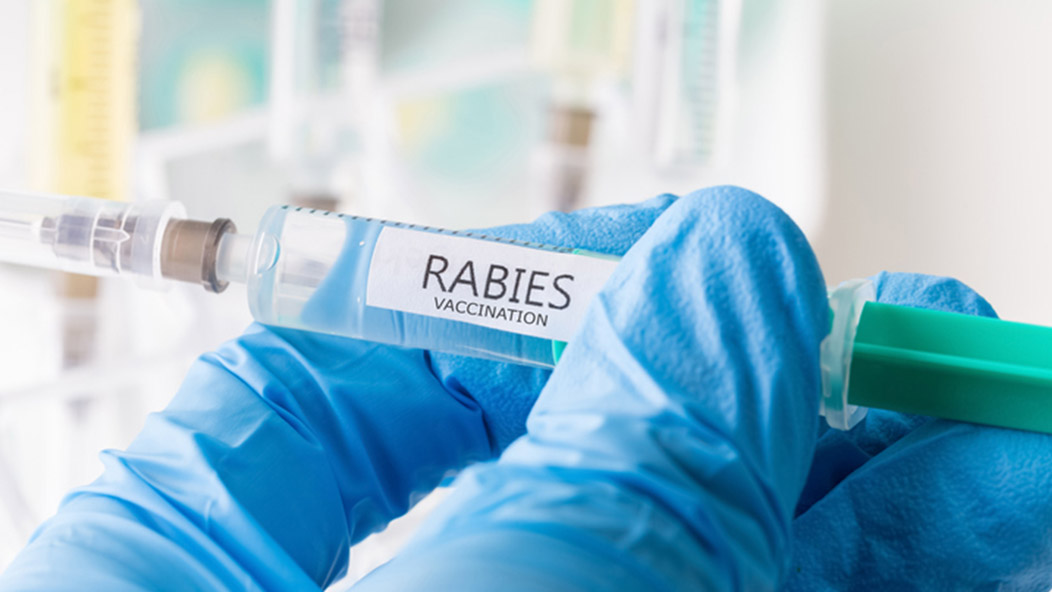 Rabies untreated has deadly consequences
