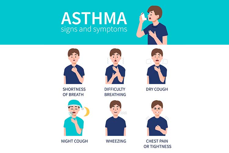 Clearing the Air About Asthma